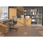 Omara LOLY je narejena iz kvalitetnih materialov. Primerna je za vsako pisarno ali pa spalnico. Zaradi svoje funkcionalnosti je primerna za vsako predsobo,