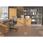 Viseča pisarniška omarica LOLY - slika 7