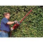 ELEK. ŠKARJE ZA ŽIVO MEJO EINHELL GC-EH 6055/1 600W 61CM – skarje zivo