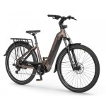 ELEKTRIČNO KOLO ECOBIKE LX300 900WH, L-19", ONYX – elektricno