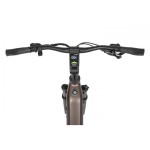 ELEKTRIČNO KOLO ECOBIKE LX300 900WH, L-19", ONYX – elektricno