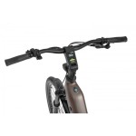 ELEKTRIČNO KOLO ECOBIKE LX300 900WH, L-19", ONYX – elektricno