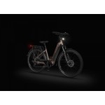 ELEKTRIČNO KOLO ECOBIKE LX300 900WH, L-19", ONYX – elektricno