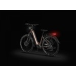 ELEKTRIČNO KOLO ECOBIKE LX300 900WH, L-19", ONYX – elektricno