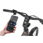 ELEKTRIČNO KOLO ECOBIKE LX300 900WH, L-19", ONYX – elektricno