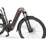 ELEKTRIČNO KOLO ECOBIKE LX300 900WH, L-19", ONYX – elektricno