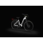 ELEKTRIČNO KOLO ECOBIKE LX300 900WH, M-17", WHITE – elektricno