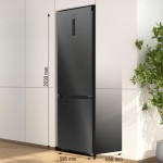 HLADILNIK IN ZAMRZOVALNIK GORENJE NRB620C61BX4WFE – dodatni pogled 2