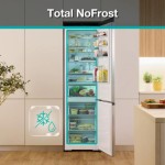 HLADILNIK IN ZAMRZOVALNIK GORENJE NRK618C61X4WFE – dodatni pogled 9