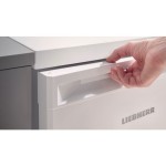 HLADILNIK LIEBHERR RD1200 – dodatni pogled 5