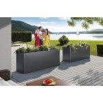 KOVINSKA VRTNA GREDA BIOHORT 53X201X77 CM BELVEDERE MAXI 200 TEMNO SIVA – dodatni pogled 1