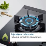 PLINSKA KUHALNA PLOŠČA BOSCH PCP6A5I90 – plosca