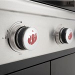 PLINSKI ŽAR LANDMANN TRITON 4.1 MAXX (12968) ČRN – zar crn