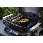 PLINSKI ŽAR WEBER Q1200N – zar