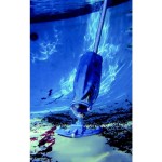 SESALNIK ZA BAZEN PLANET POOL SESALEC MAX POOL BLASTER – dodatni pogled 2