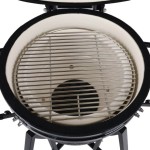 ŽAR NA OGLJE KAMADO 46 CM – zar