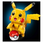 ko si se prvič podal v bitko s prikupnim Pokemonom ob sebi.