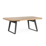 Klubska mizica NASHIK 118X70, je narejena iz mangovega lesa ter nogic iz jekla. Material: Mangov les Jeklo Dimenzije: širina: 118cm globina: 70cm višina: