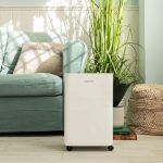 RAZVLAŽILNIK ZRAKA CECOTEC BIGDRY 8000 EXPERT CONNECTED – razvlazilnik