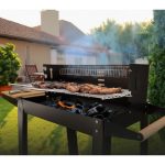 ŽAR NA OGLJE GSC MUSTERS 520X270MM JEKLO – zar